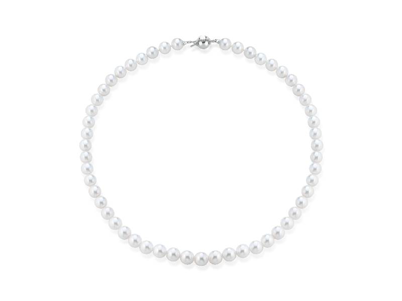 JAPANESE PEARLS NECKLACE AKOYA COSCIA LBNKAKA65.SF8